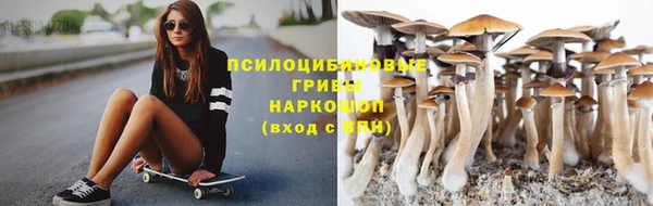 тгк Абаза