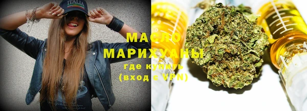 тгк Абаза